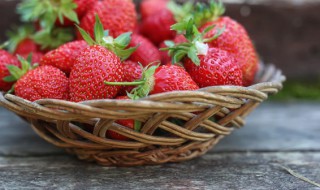 草莓的大棚种植方法 草莓的大棚怎么种植