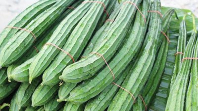 自己种的丝瓜发苦怎么回事 自家种出来的丝瓜为什么会苦