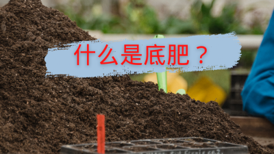 基肥是什么意思 不同种类基肥的效果及使用方法