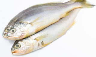 黄花鱼食用禁忌 吃黄花鱼有什么禁忌
