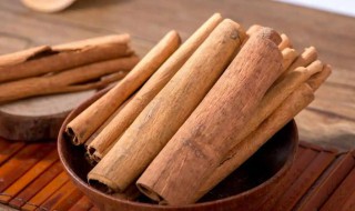 肉桂是什么东西 肉桂的生理特性