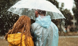 雨伞什么材质好 雨伞什么材质防雨效果最好