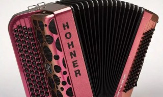 手风琴的类型 手风琴 类型