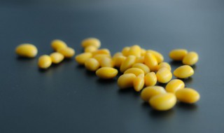 黄豆变紫色还能吃吗 黄豆变紫色还可以吃吗