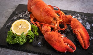 龙虾如何冷藏保鲜 龙虾放冰箱怎么储存