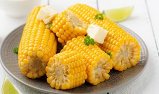 虾能不能和玉米一起吃 虾和玉米可以一起食用吗