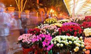 乔迁宴适合送什么花束 乔迁可以送哪些花