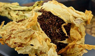 干雪莲花的食用的禁忌 干雪莲花怎么食用和有哪些禁忌