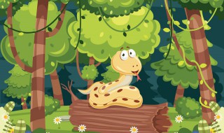 属蛇家里摆放什么物件 属蛇家里摆放哪些物件