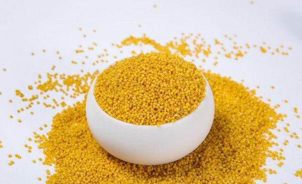 全国哪里的小米最好吃最出名