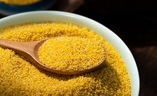 全国哪里的小米最好吃最出名