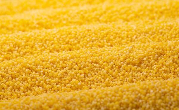 全国哪里的小米最好吃最出名