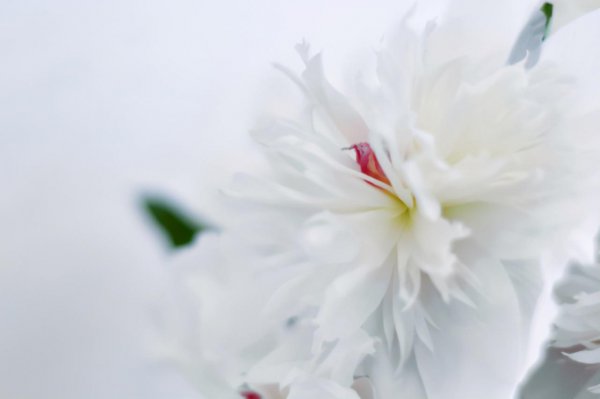 挽回巨蟹座女生的狠招