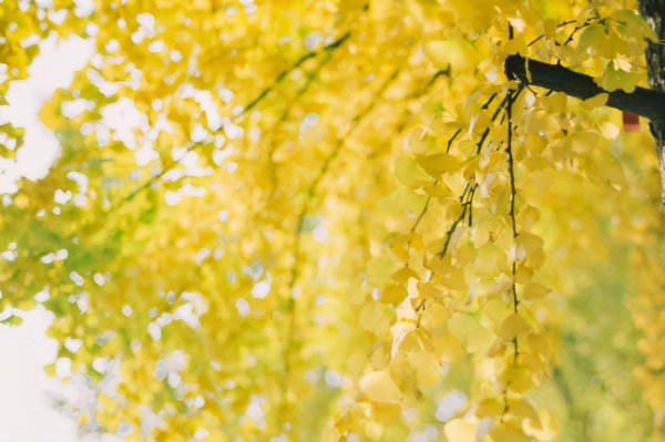 挽回巨蟹座女生的狠招