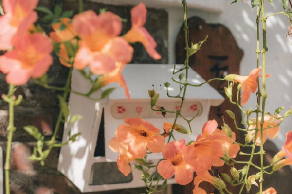 挽回巨蟹座女生的狠招