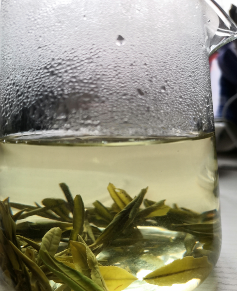 新茶和旧茶有什么区别图片