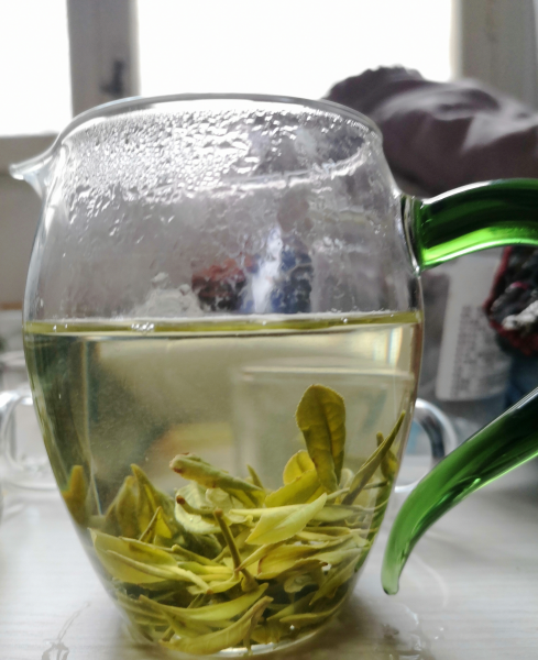 新茶和旧茶有什么区别图片