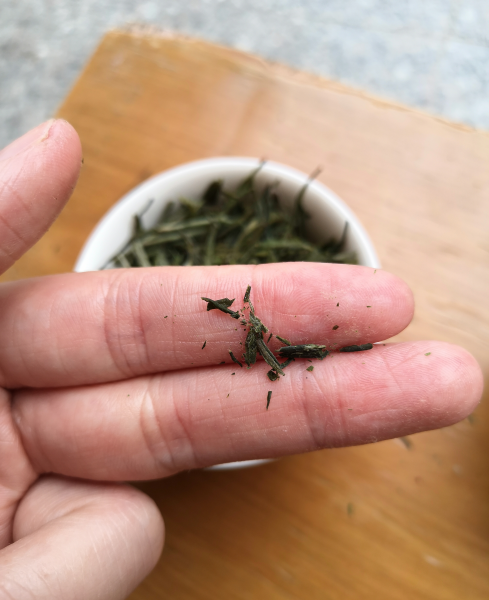 新茶和旧茶有什么区别图片