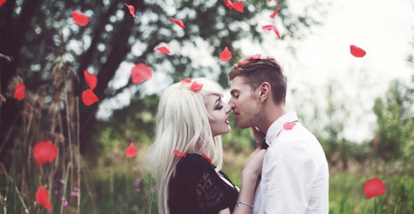 超级护妻的星座男