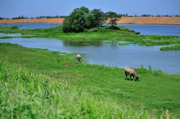 溧水有什么好玩的景点