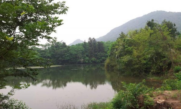 溧水有什么好玩的景点