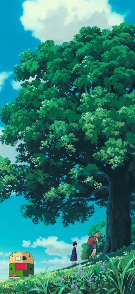 白羊和白羊合适吗