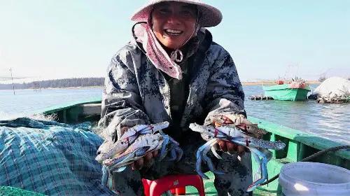 南海最大的岛叫什么名字