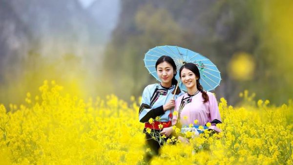 油菜籽种植技术及田间管理措施