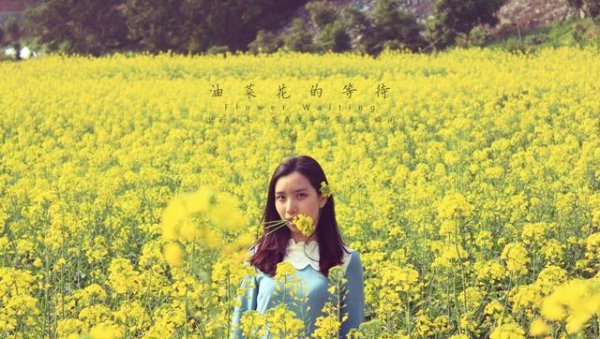 油菜籽种植技术及田间管理措施