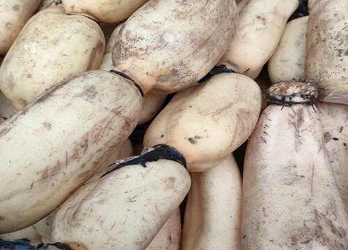 莲藕怎么削皮不变色