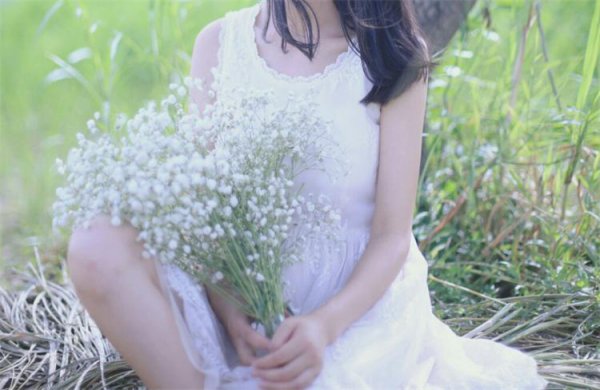 满天星放水里还是干放