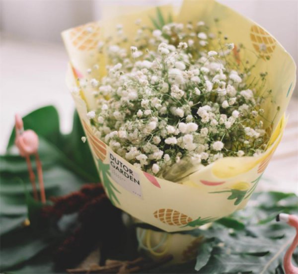 满天星放水里还是干放