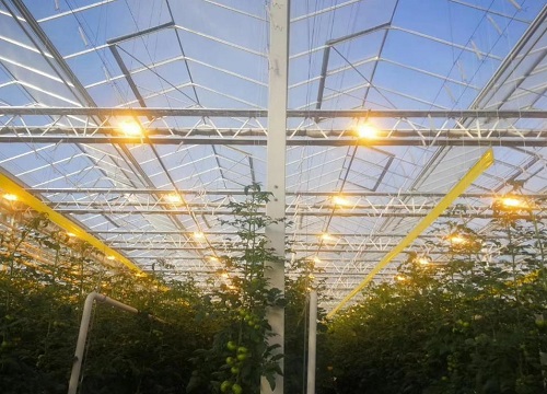 大棚冬季加温什么方法最好