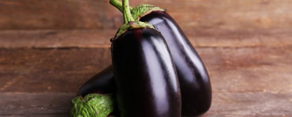 东北茄子怎么煎好吃