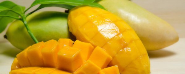 芒果和柿子可以一起吃吗