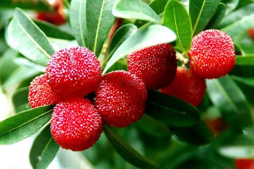 浙江兰溪市属于哪个市管辖