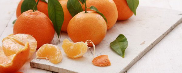 减肥可以吃橘子吗