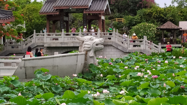 惠州有什么好玩的地方旅游景点