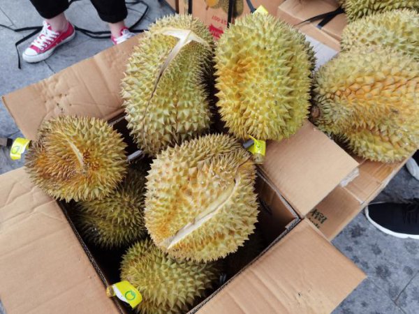 榴莲怎么挑选肉多饱满的