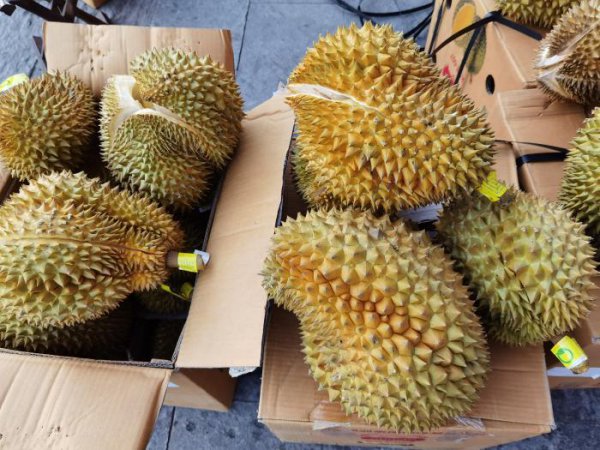 榴莲怎么挑选肉多饱满的