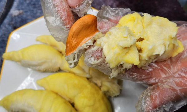 榴莲怎么挑选肉多饱满的