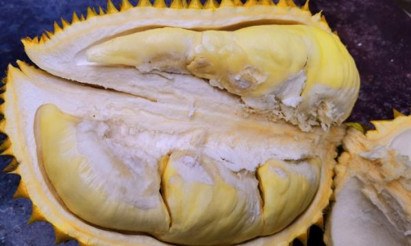 榴莲怎么挑选肉多饱满的