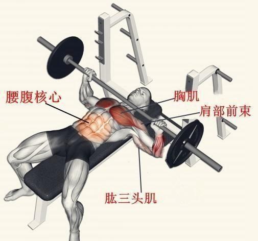 在健身房卧推100公斤什么水平