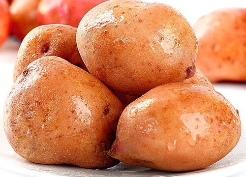 土豆没熟透可以吃吗