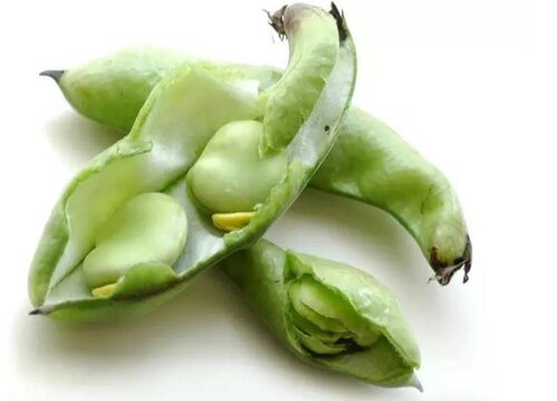 蚕豆和兰花豆一样吗