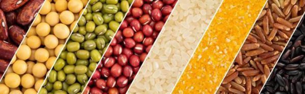 中国居民平衡膳食宝塔几层