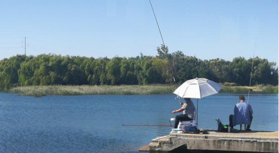 小满钓鱼是钓深钓浅
