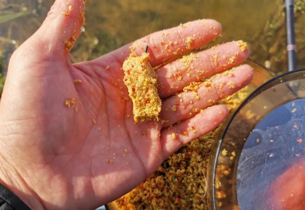 钓鱼界诱鱼最快的饵料