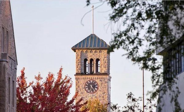 加拿大排名前十大学