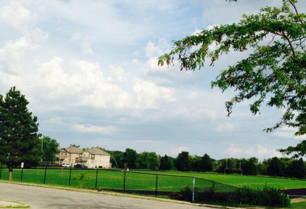 加拿大排名前十大学